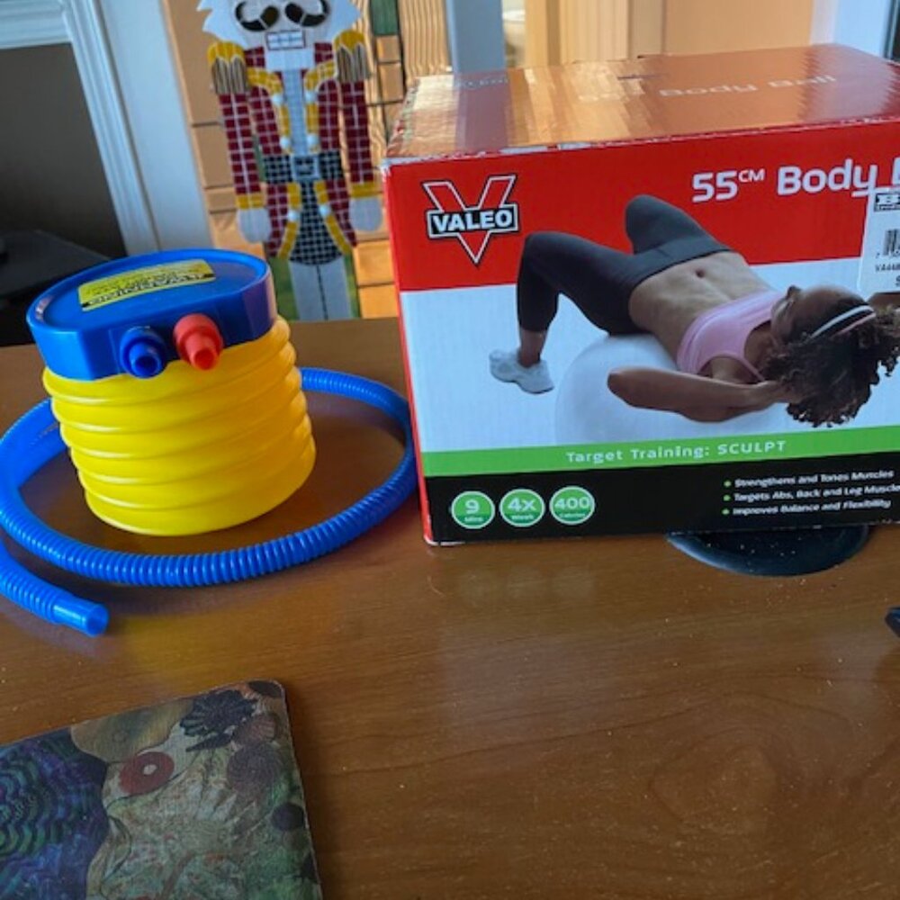 Valeo 55cm women's exercise ball with pump